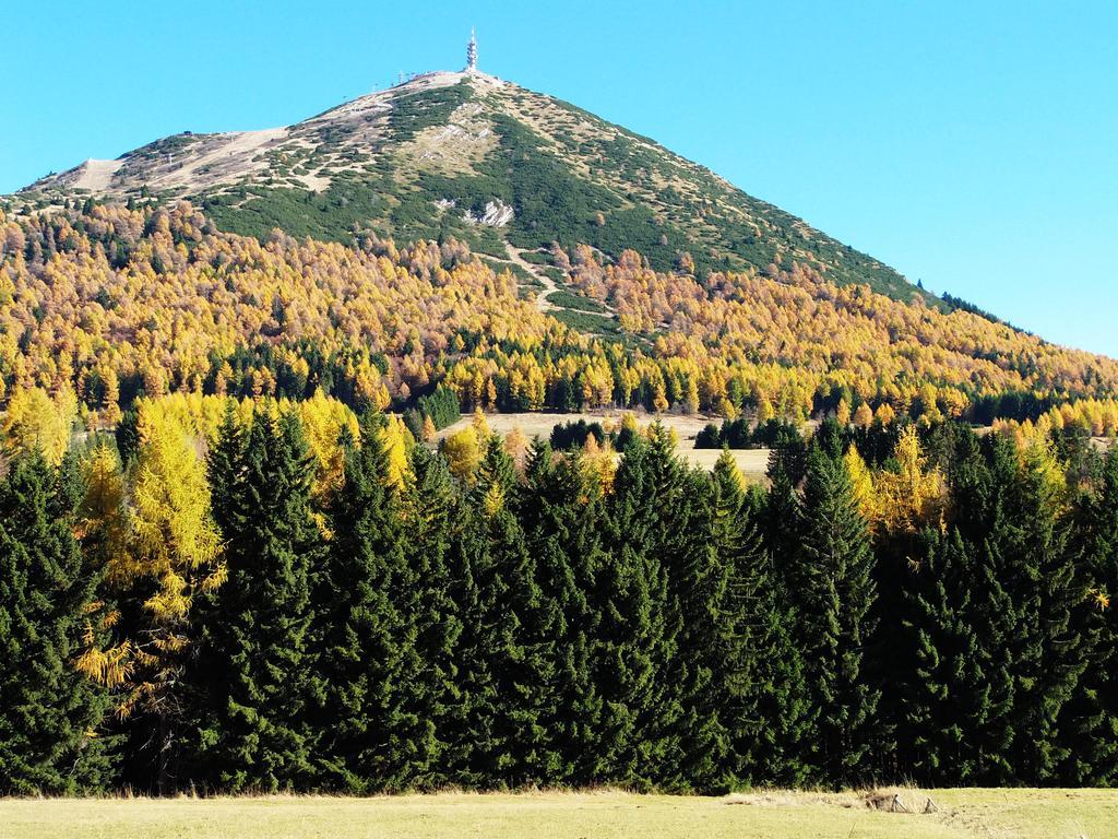 Hotel Vezzano Экстерьер фото